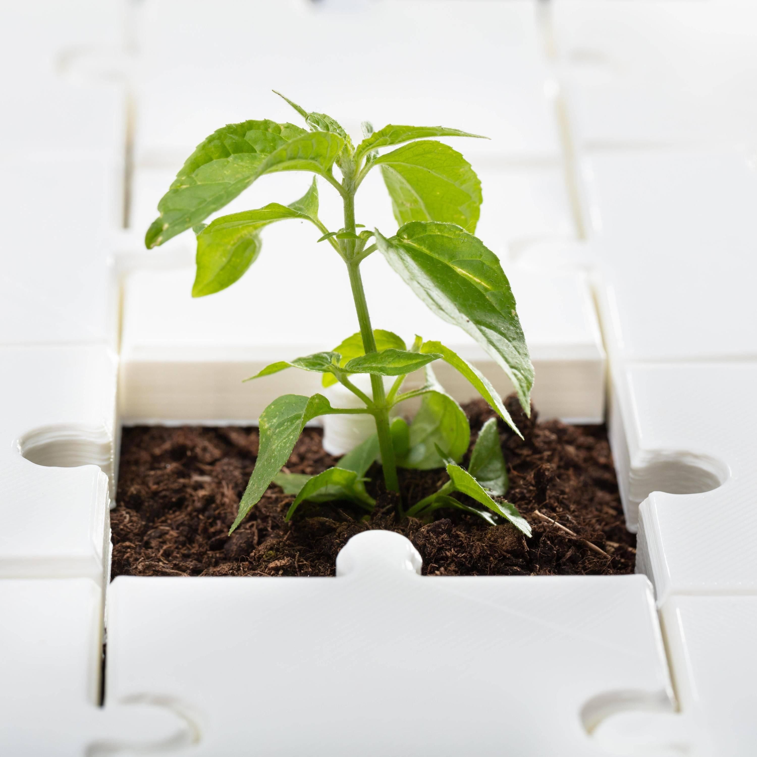 Warum ESG und Technologien Megatrends sind