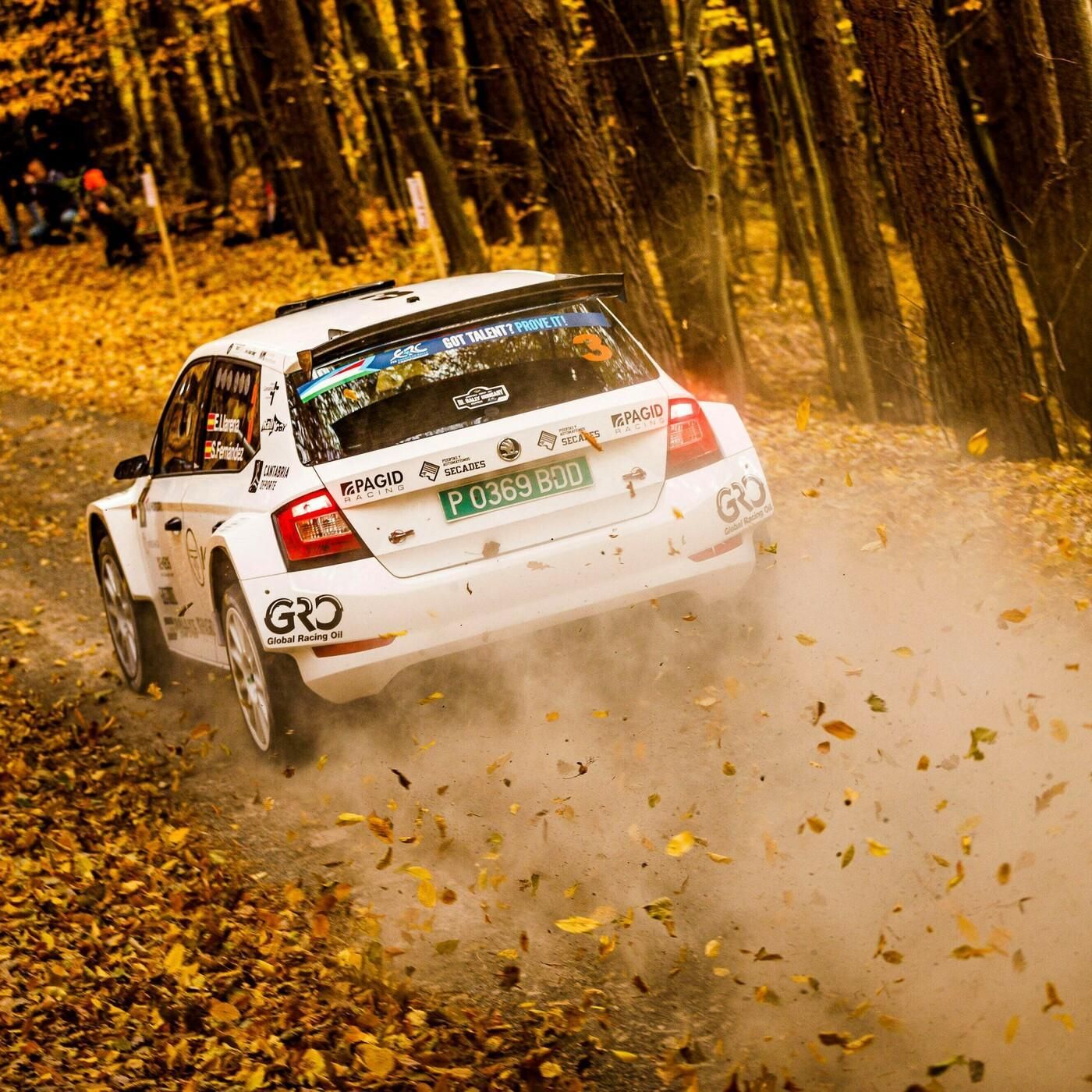 Kommt jetzt doch noch die Jahresendrally?