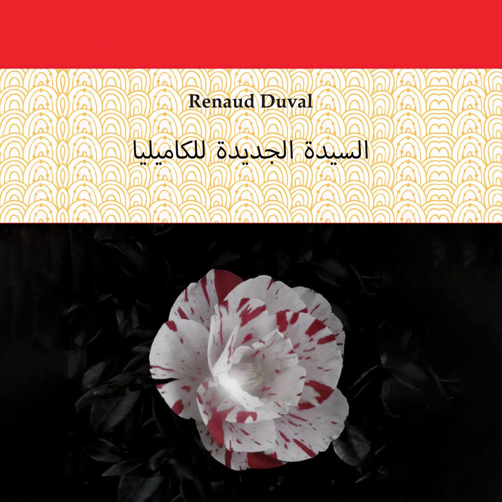 السيدة الجديدة بزهرة القطاني