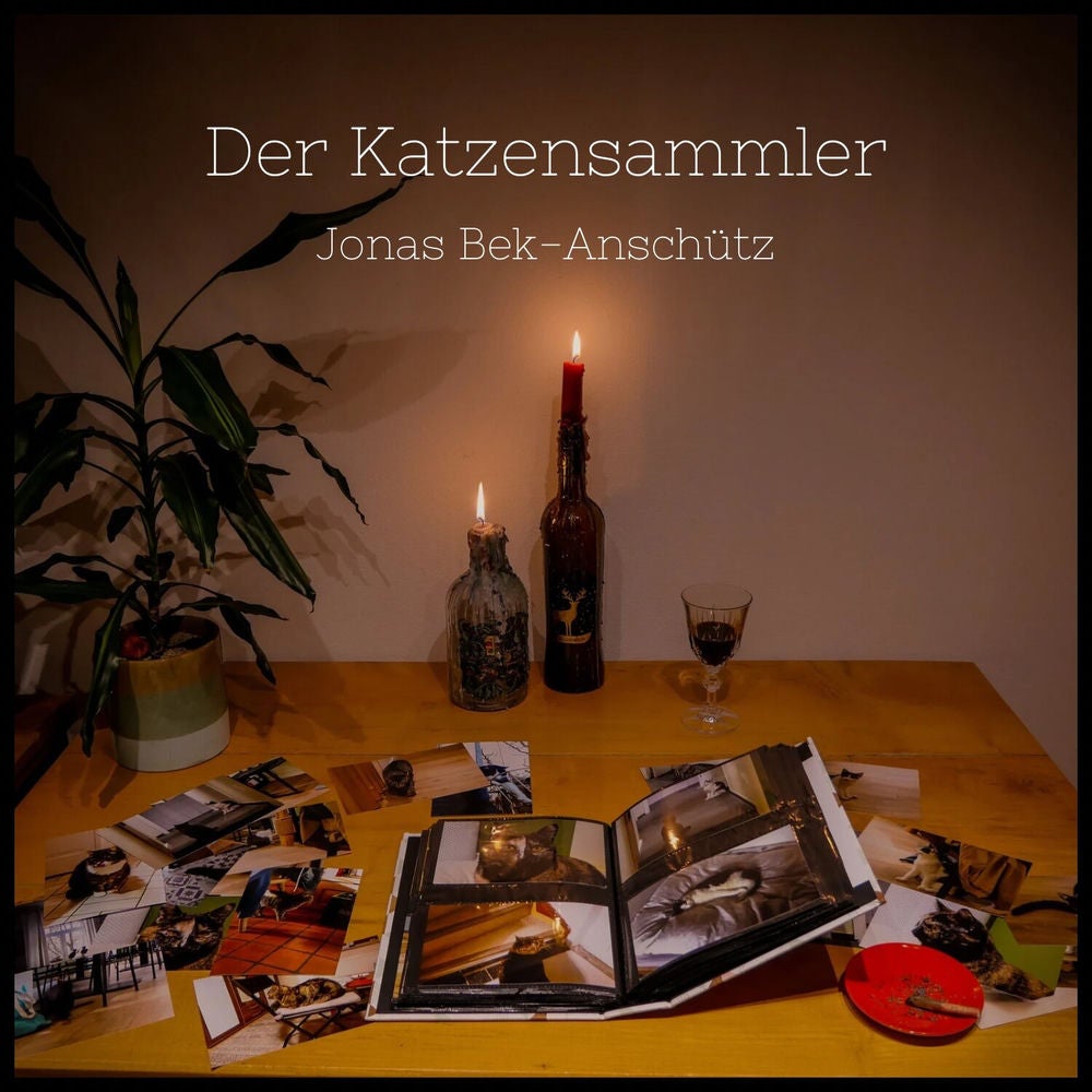 Der Katzensammler