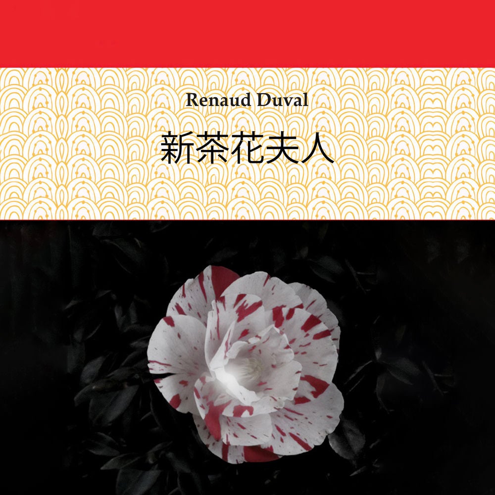新的茶花女