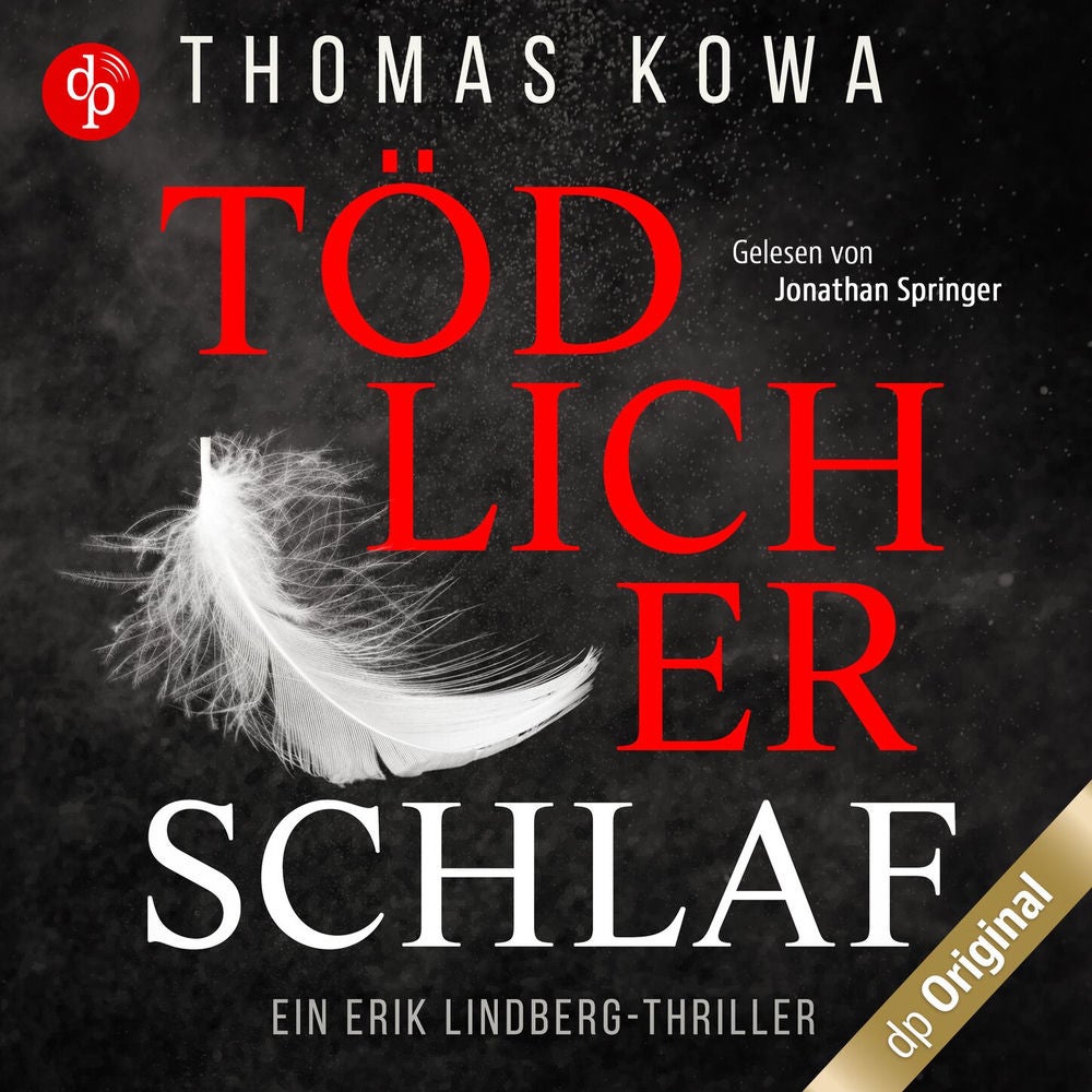 Tödlicher Schlaf - Ein Erik Lindberg-Thriller, Band 1