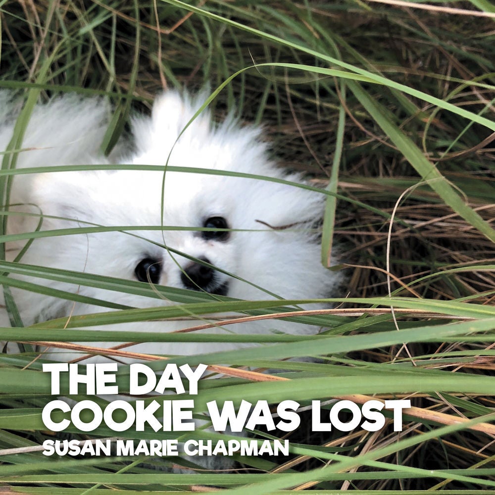 The Day Cookie Was Lost