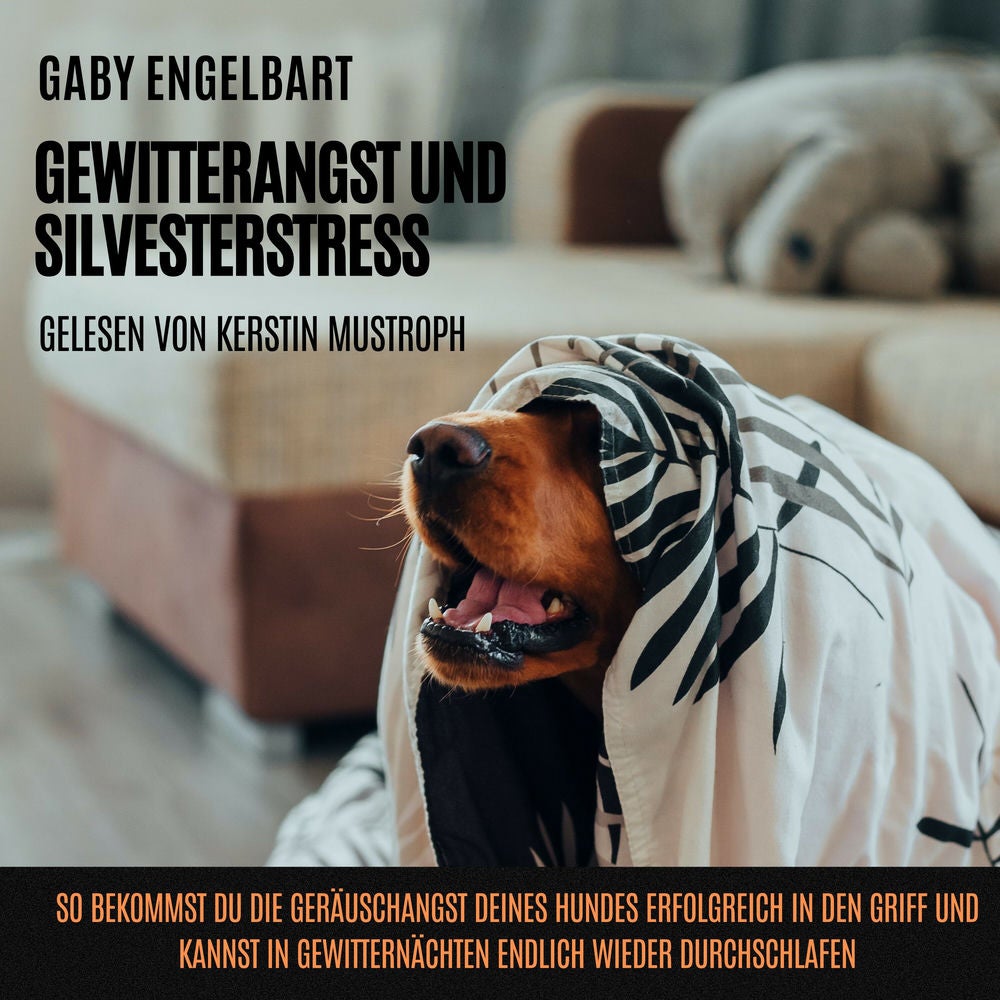 Gewitterangst und Silvesterstress: So bekommst du die Geräuschangst deines Hundes erfolgreich in den Griff und kannst in Gewittern