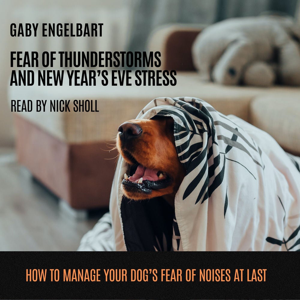 Fear of Thunderstorm and New Year's Eve Stress: How to manage your dog's fear of noises and to sleep through nights full of thunde