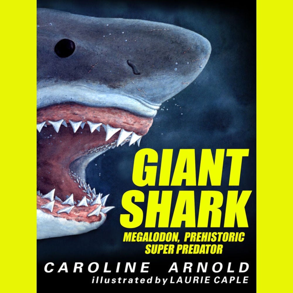 Giant Shark - Megalodon, Prehistoric Predator