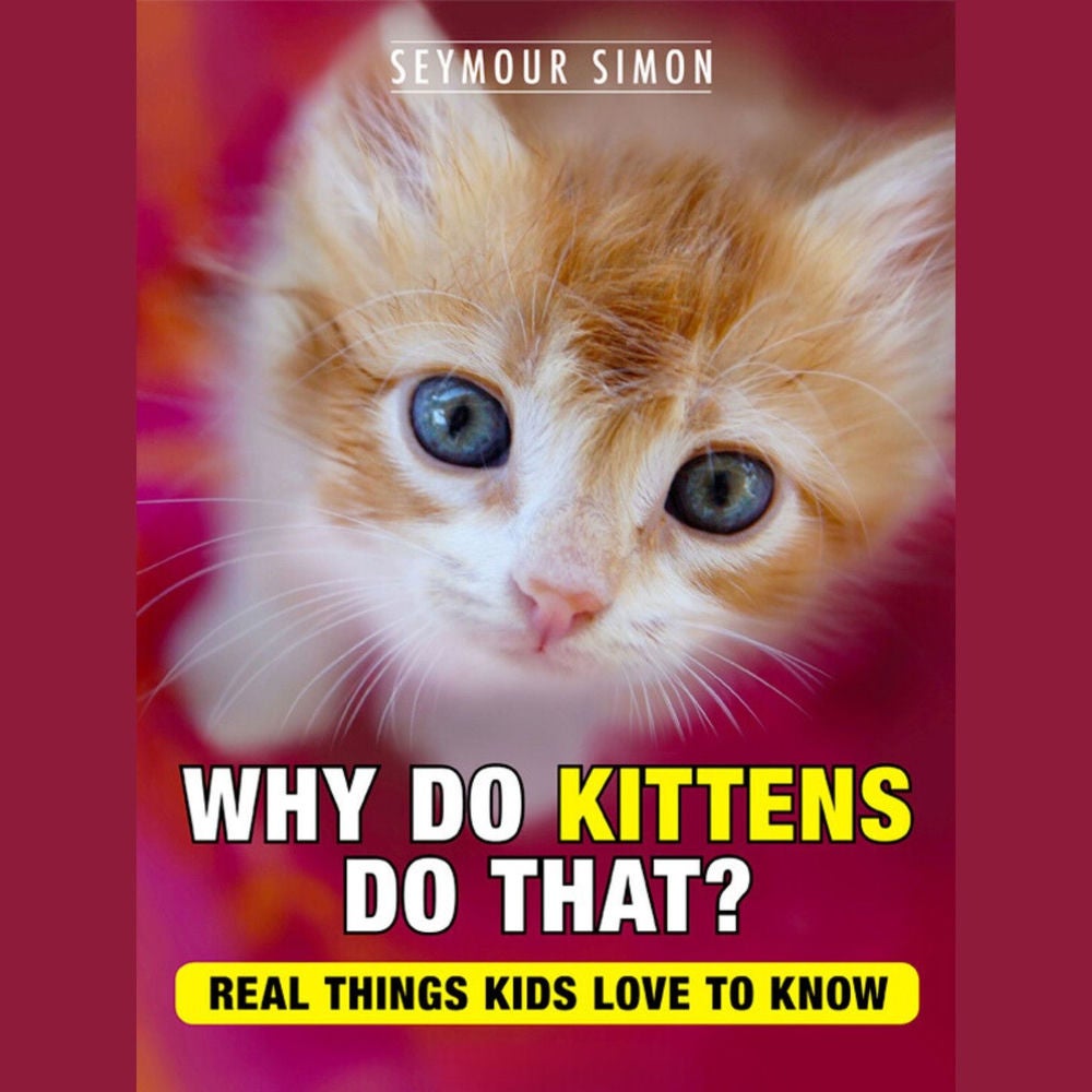 Why Do Kittens Do That?