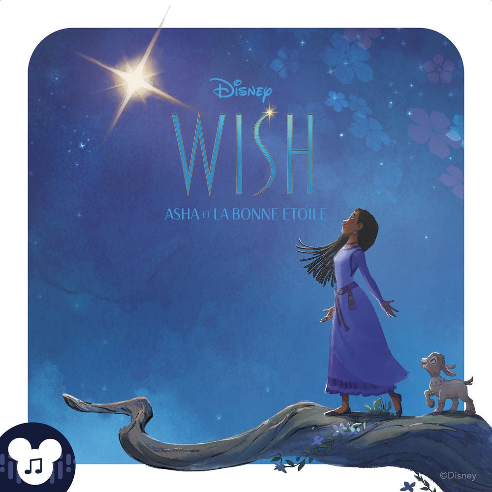 Wish, Asha et la bonne étoile : L'histoire du film Disney