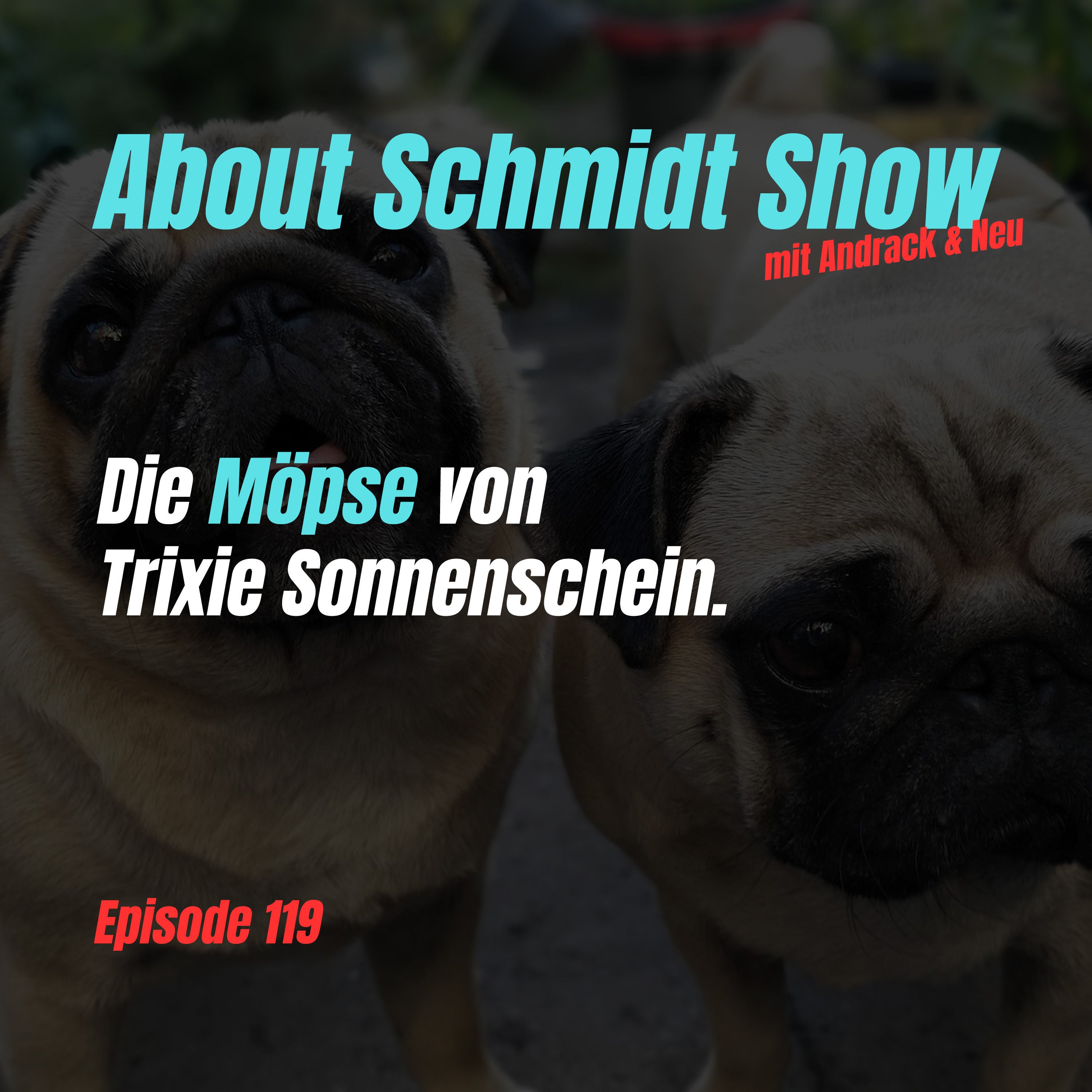 Die Möpse von Trixie Sonnenschein