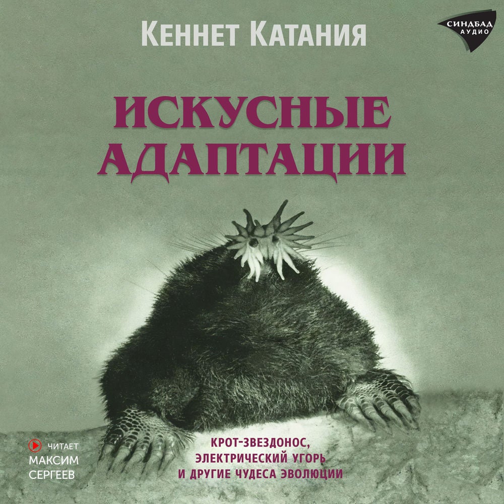 Искусные адаптации