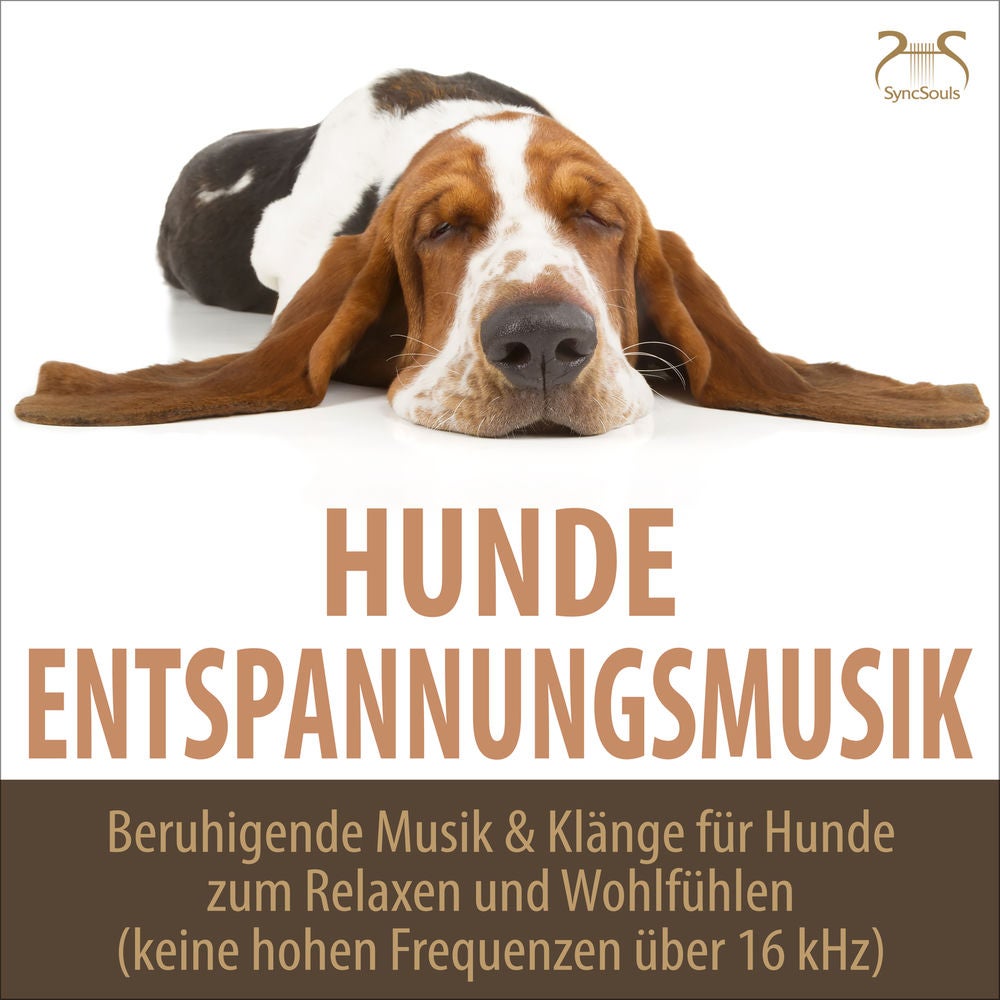 Hunde Entspannungsmusik - Beruhigende Musik & Klänge für Hunde zum Relaxen und Wohlfühlen (keine hohen Frequenzen über 16 khz)
