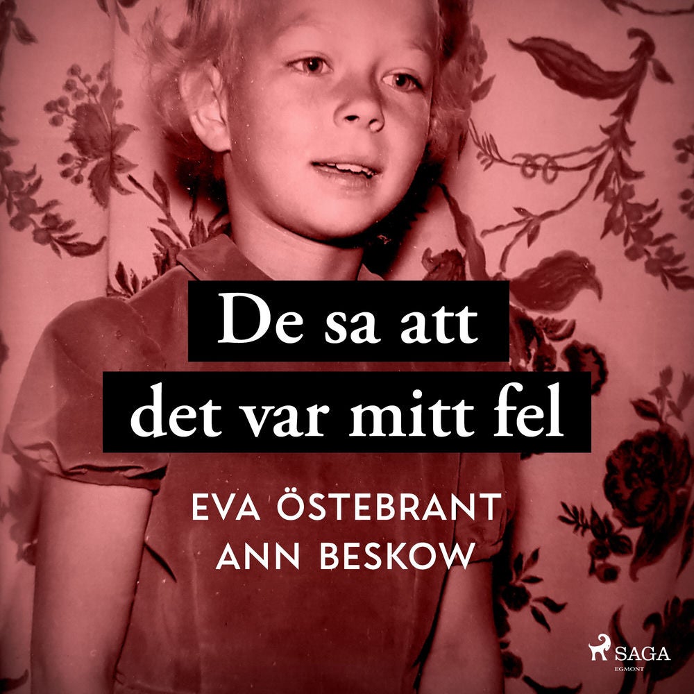 De sa att det var mitt fel