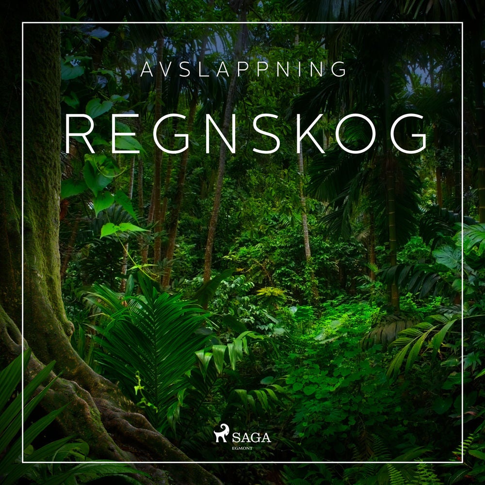 Avslappning - Regnskog