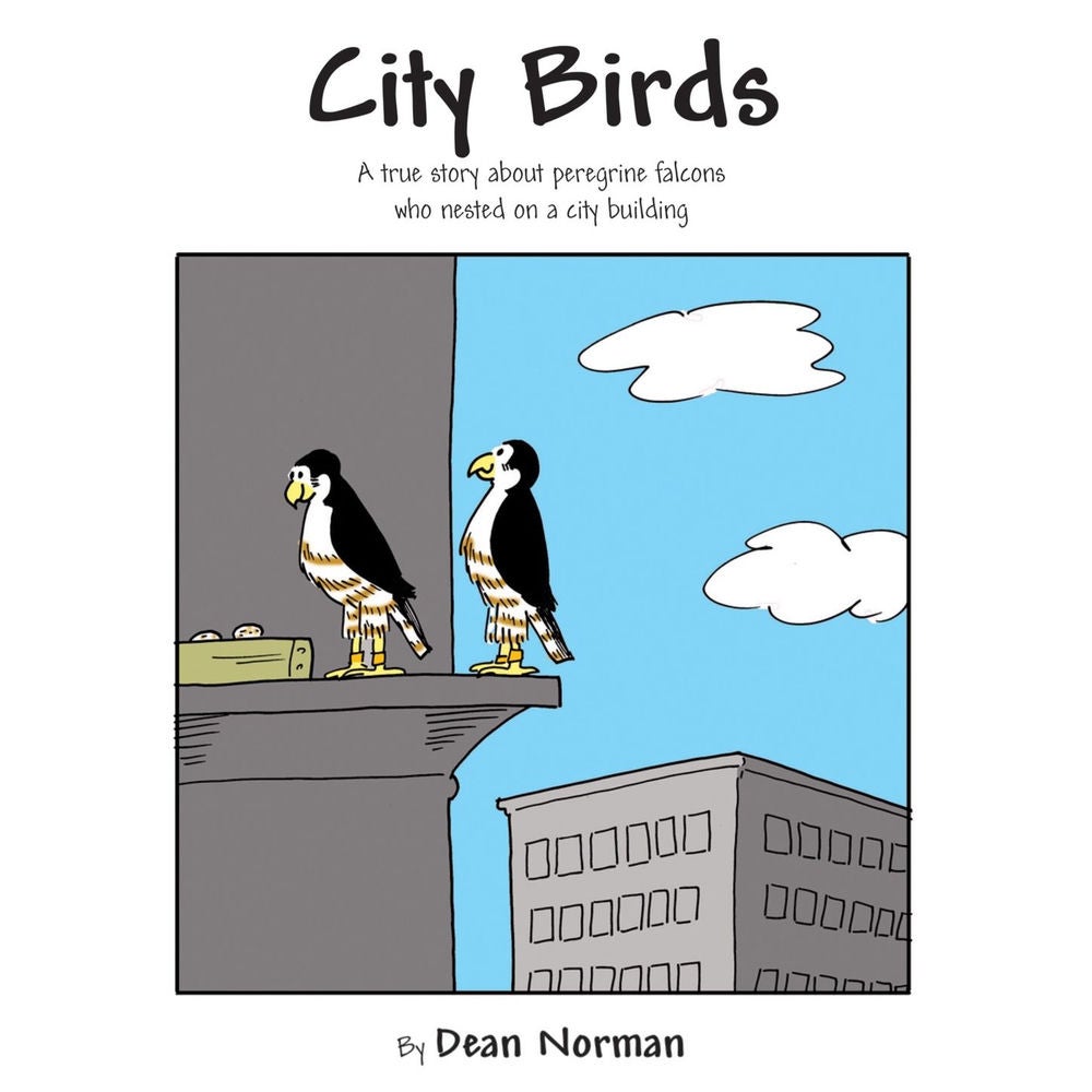 City Birds