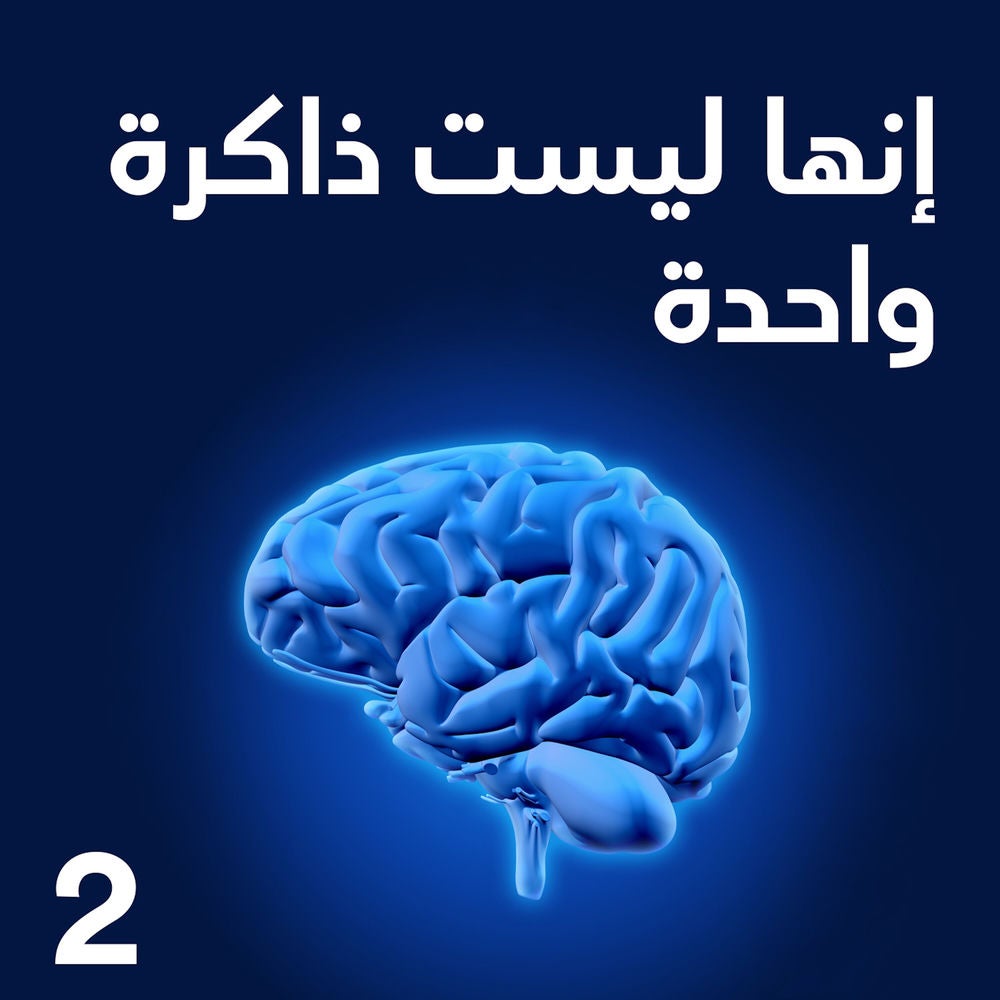 إنها ليست ذاكرة واحدة