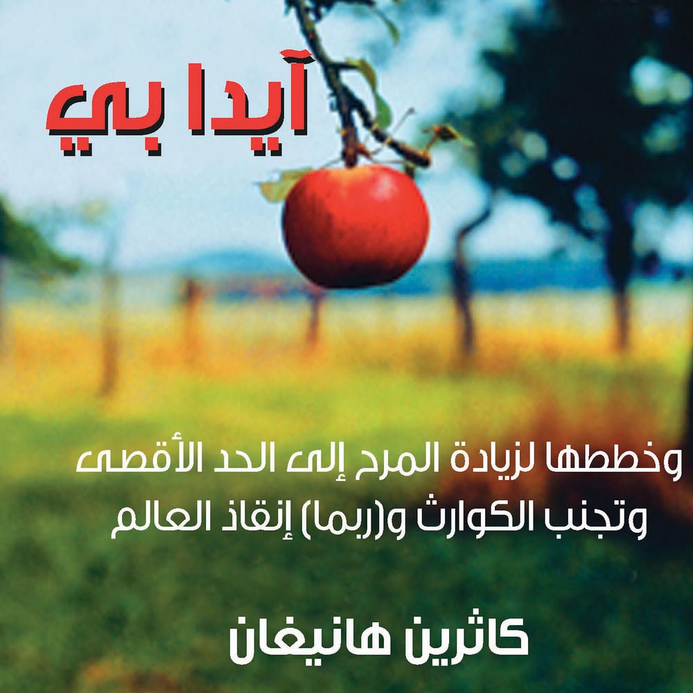 آيدا بي - وخطط لزيادة المرح إلى الحد الأقصى وتجنب الكوارث وربما إنقاذ العالم