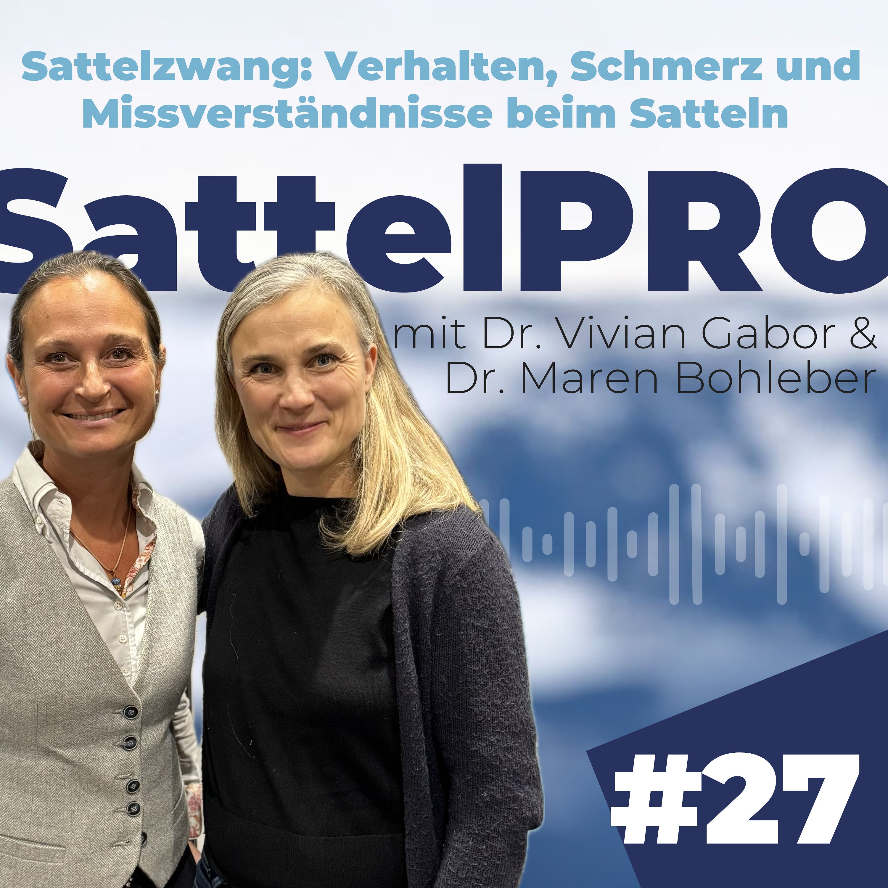 Sattelzwang: Verhalten, Schmerz und Missverständnisse beim Satteln │ Mit Dr. Vivian Gabor
