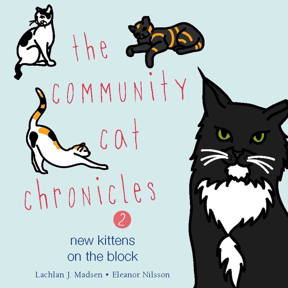 The Community Cat Chronicles Book 2: New kittens on the block