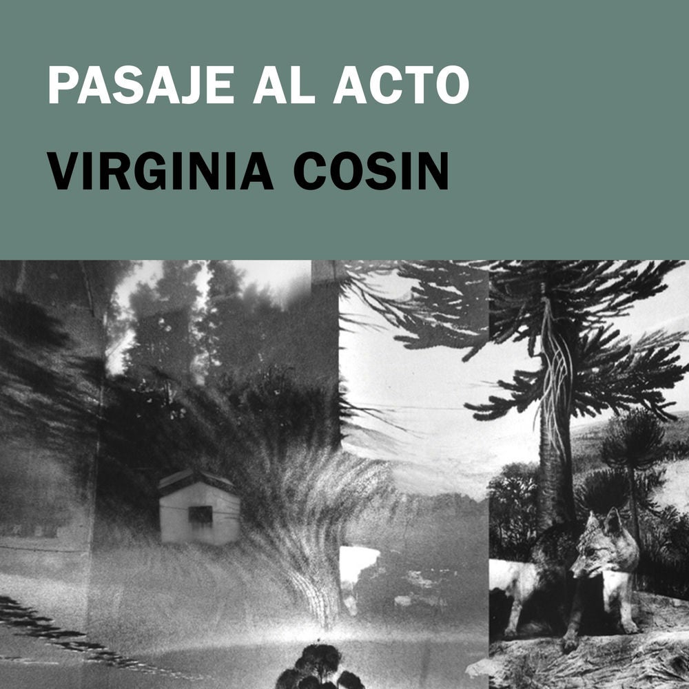 Pasaje al acto