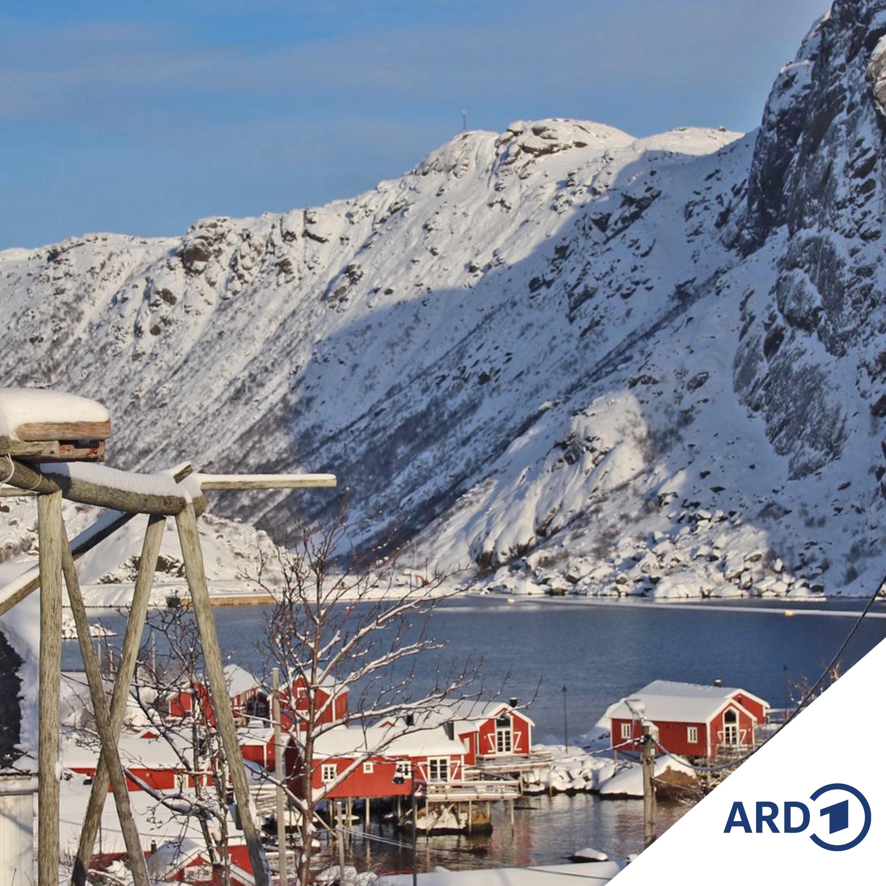Winteralltag auf den Lofoten