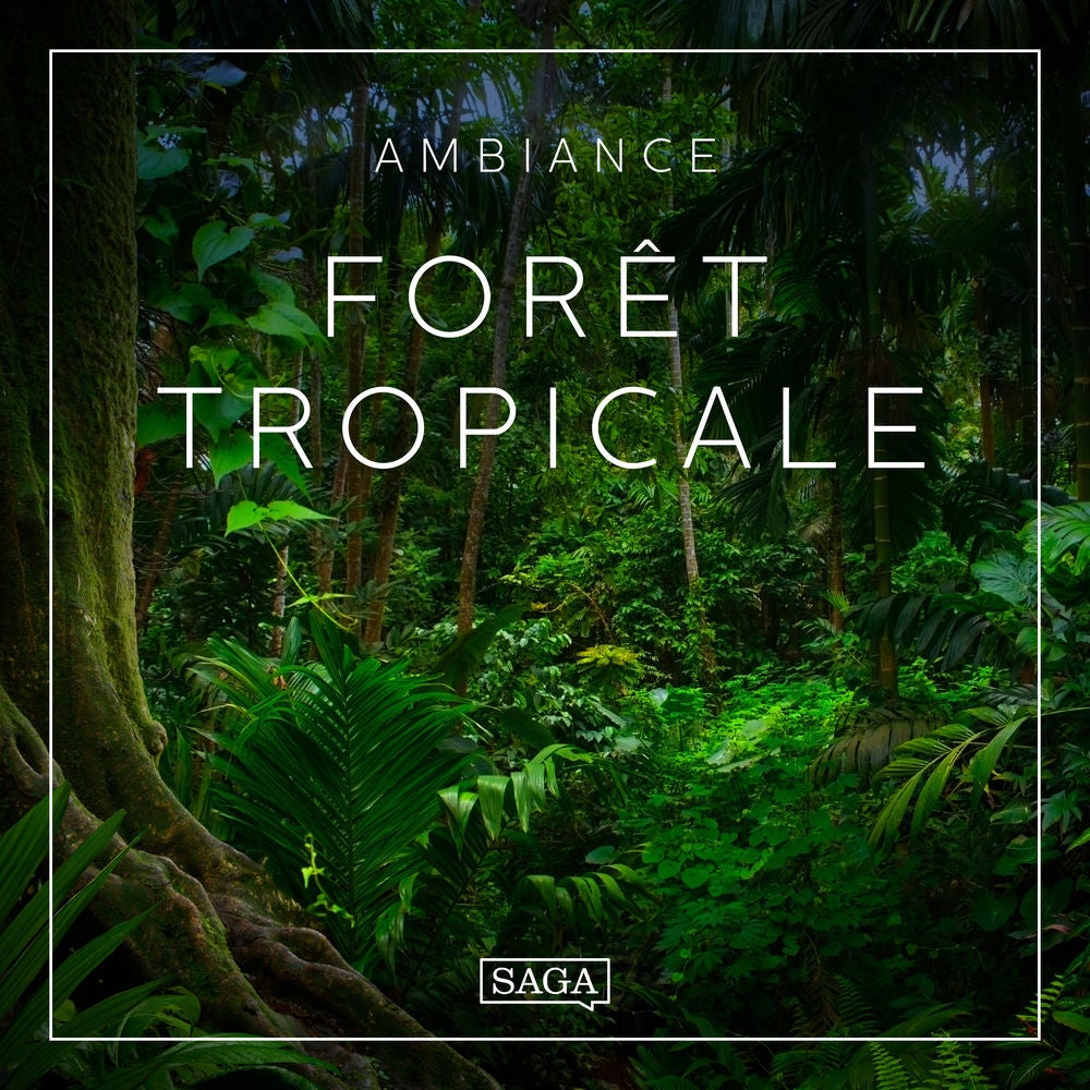 Ambiance – Forêt tropicale