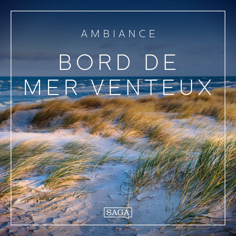 Ambiance – Bord de mer venteux