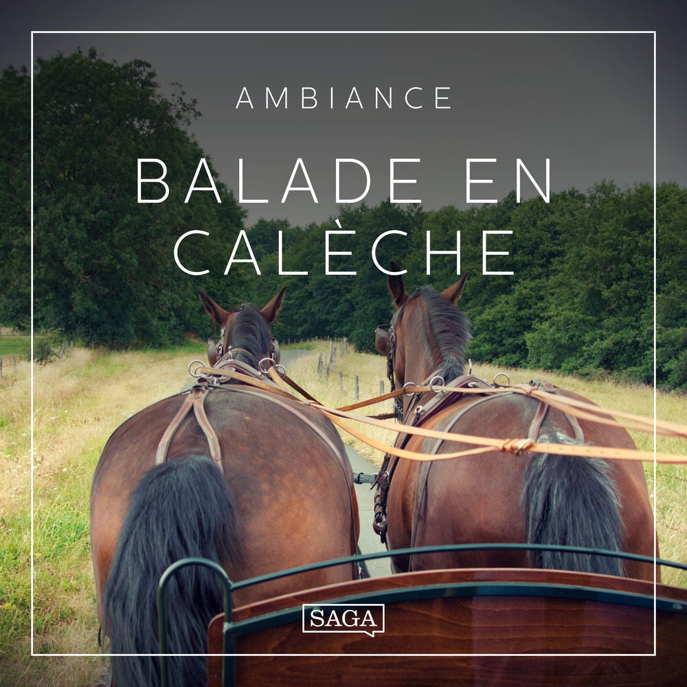 Ambiance – Balade en calèche