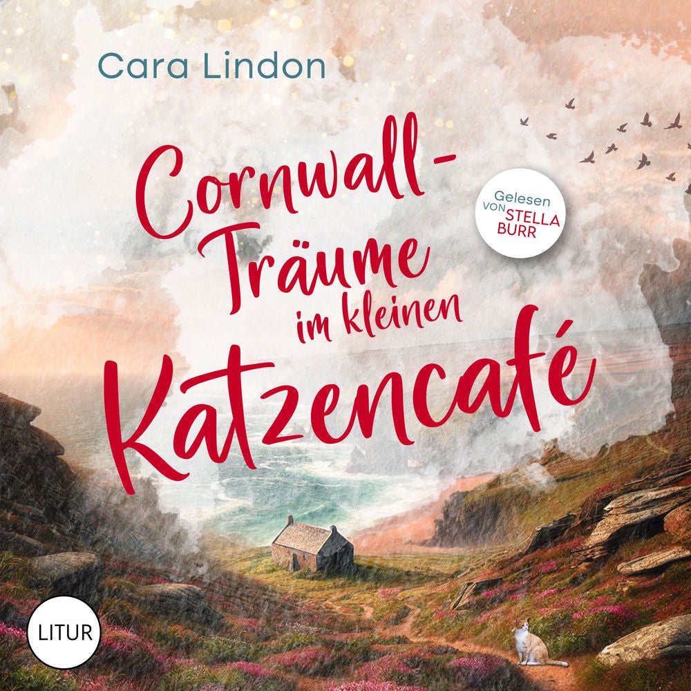 Cornwall-Träume im kleinen Katzencafé