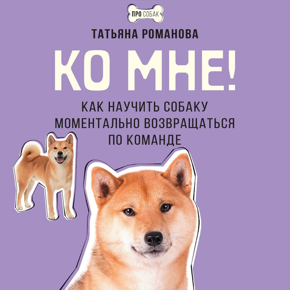 Ко мне! Как научить собаку моментально возвращаться по команде