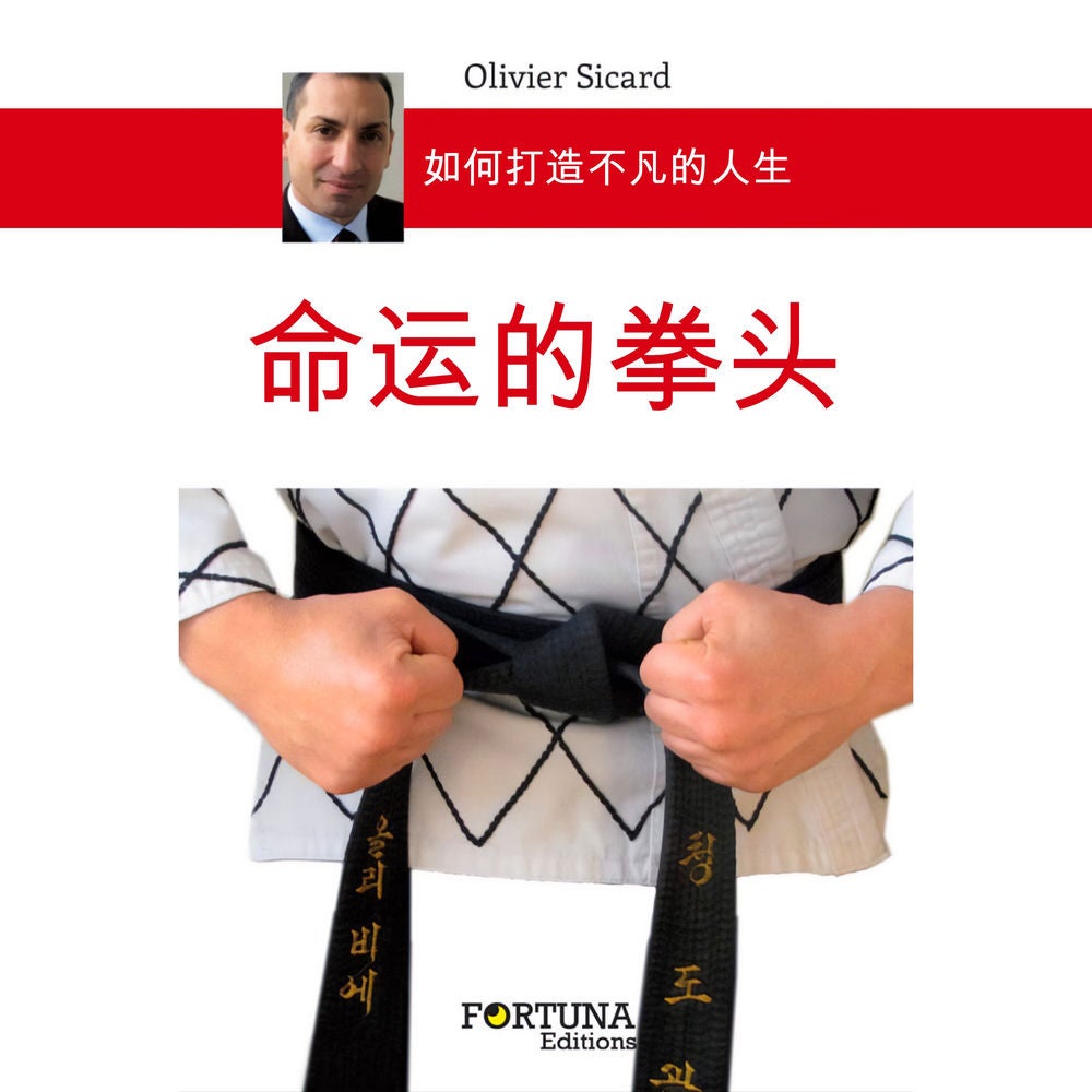 一个命运的拳头
