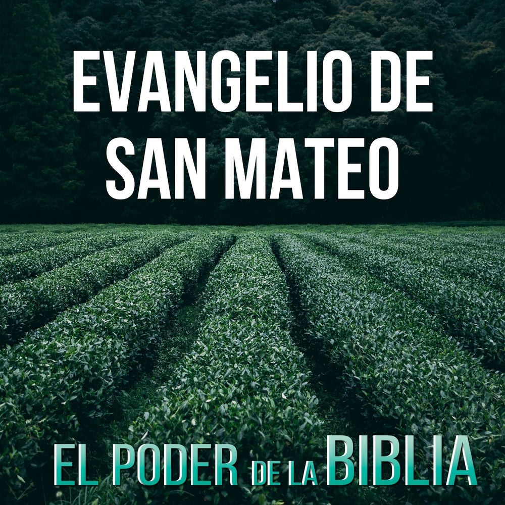 Evangelio de San Mateo