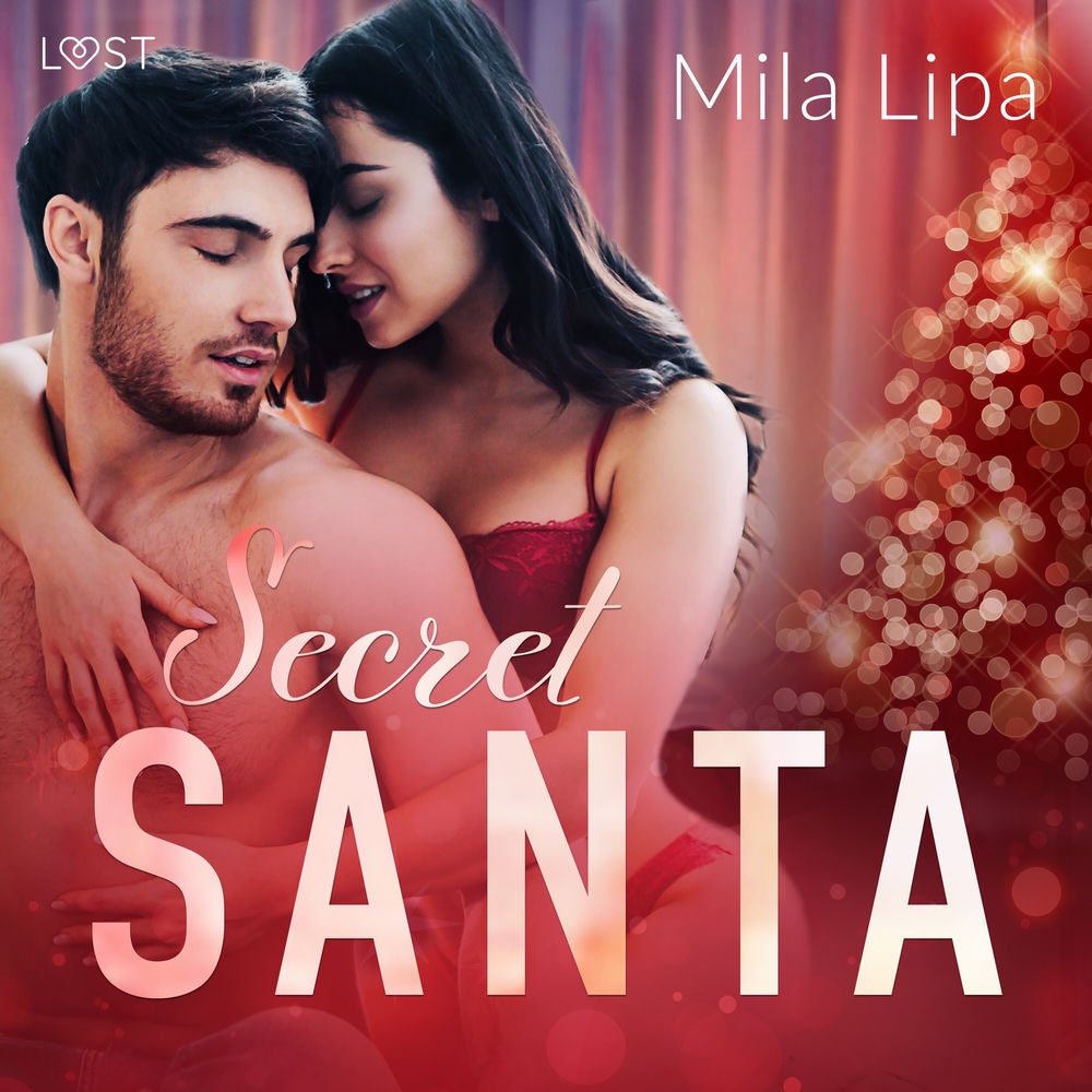 Secret Santa – erotisk novell