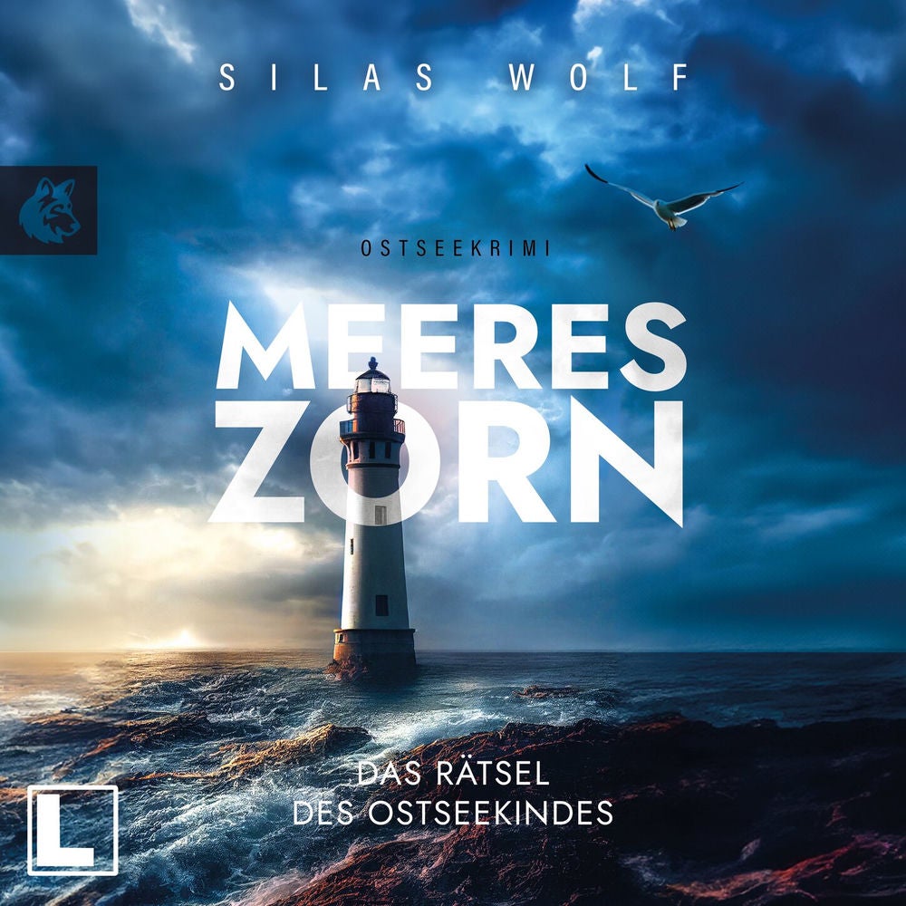 Meereszorn - Das Rätsel des Ostseekindes - Sönke Petersen, Band 2