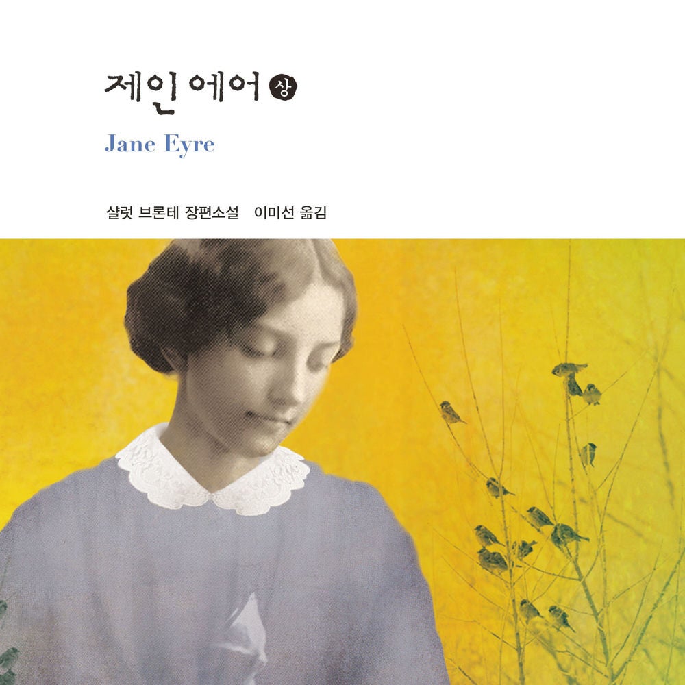제인 에어 (상)