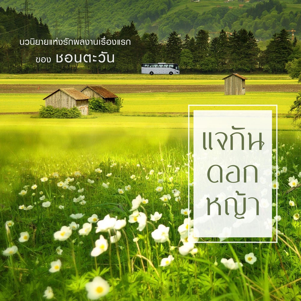 แจกันดอกหญ้า