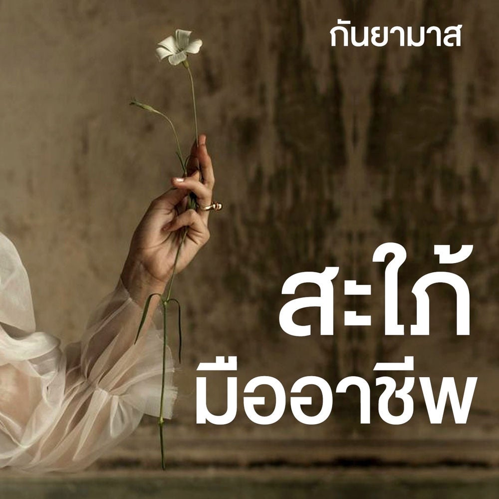 สะใภ้มืออาชีพ