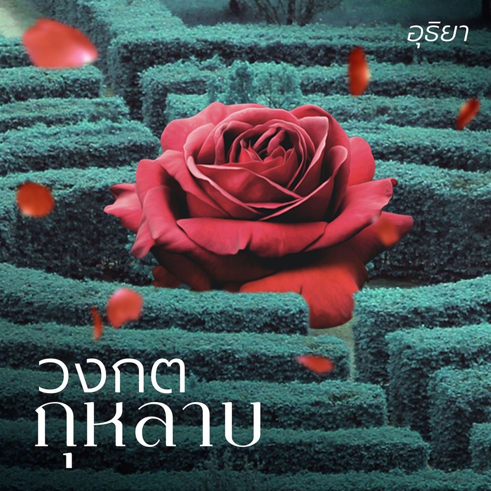 วงกตกุหลาบ