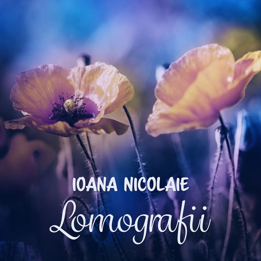 Lomografii