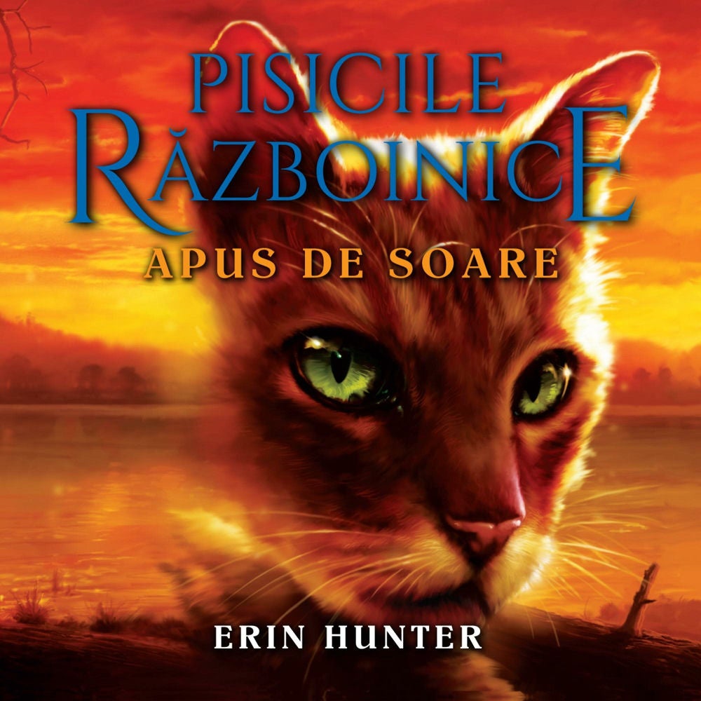 Apus de Soare