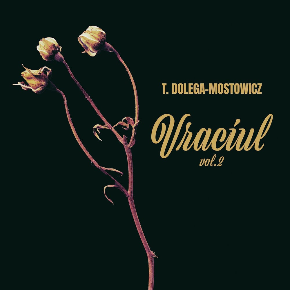 Vraciul, vol. 2