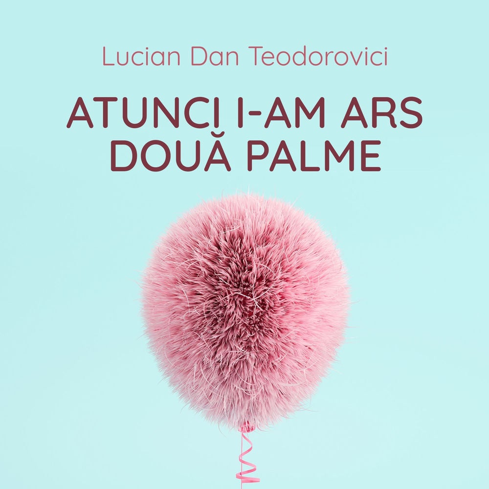 Atunci i-am ars două palme