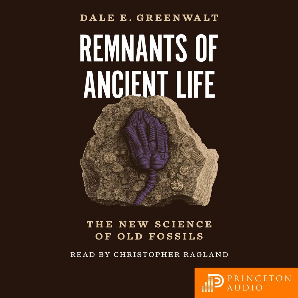 Remnants of Ancient Life