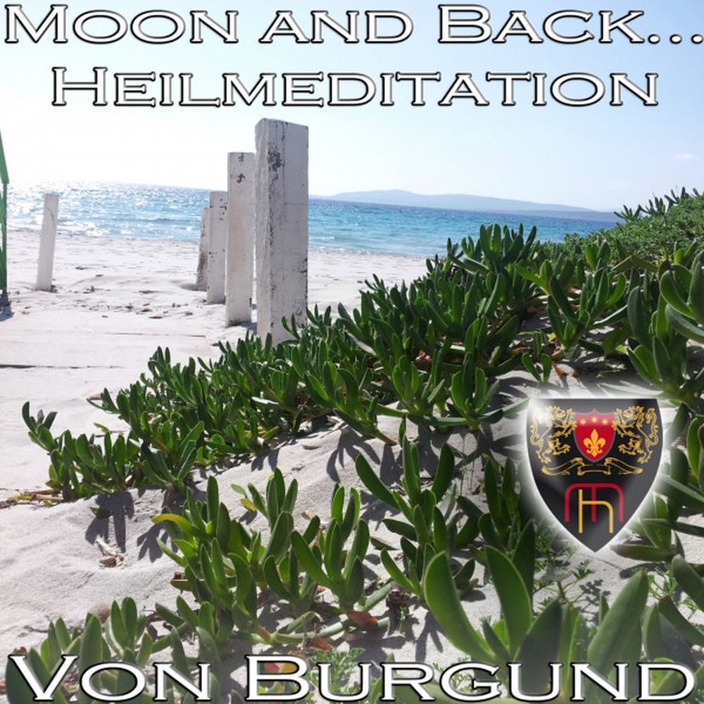 Moon and Back...