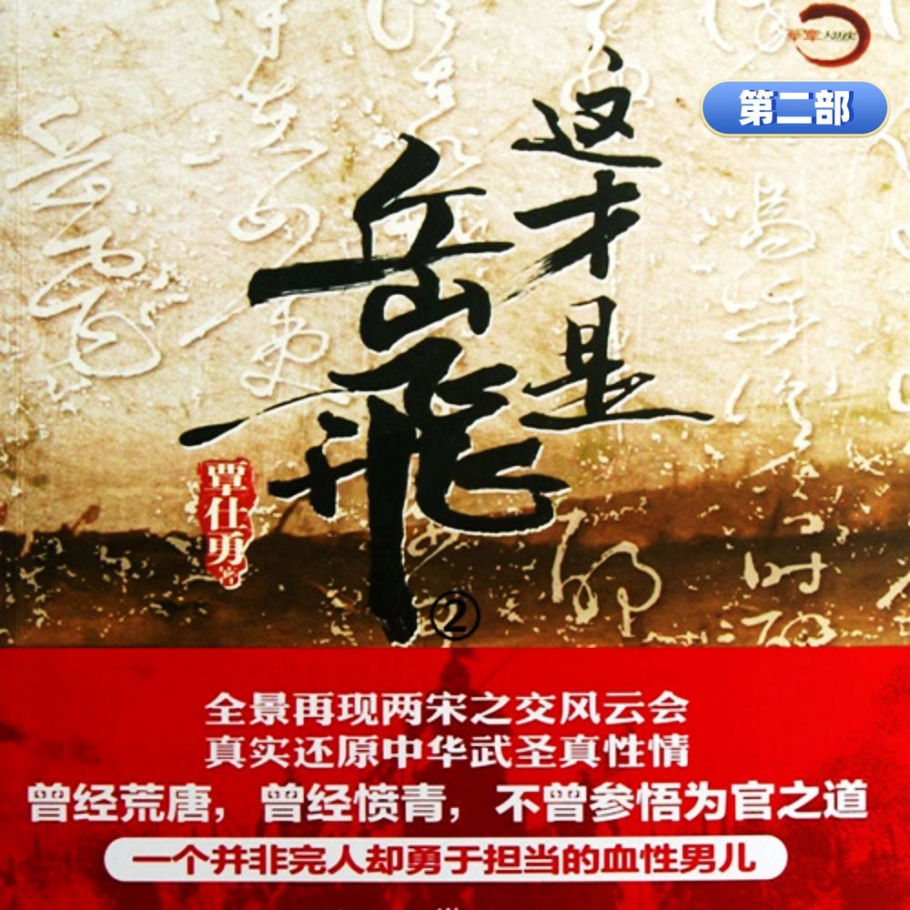 这才是岳飞 第二部
