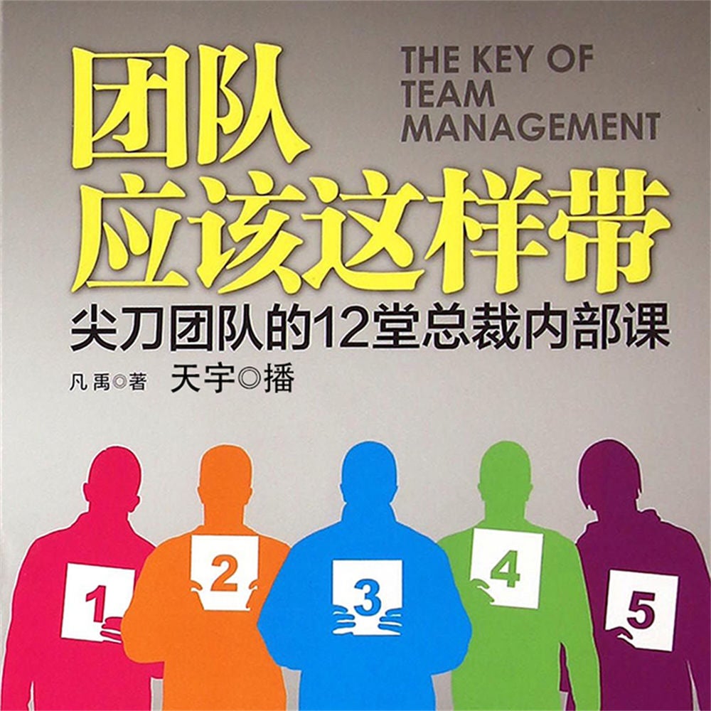 团队应该这样带：尖刀团队的12堂总裁内部课