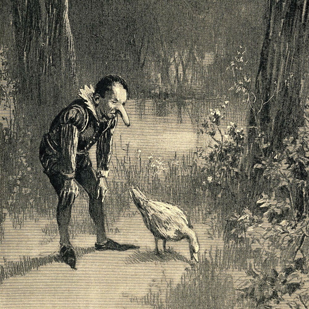 Zwerg Nase, Wilhem Hauff