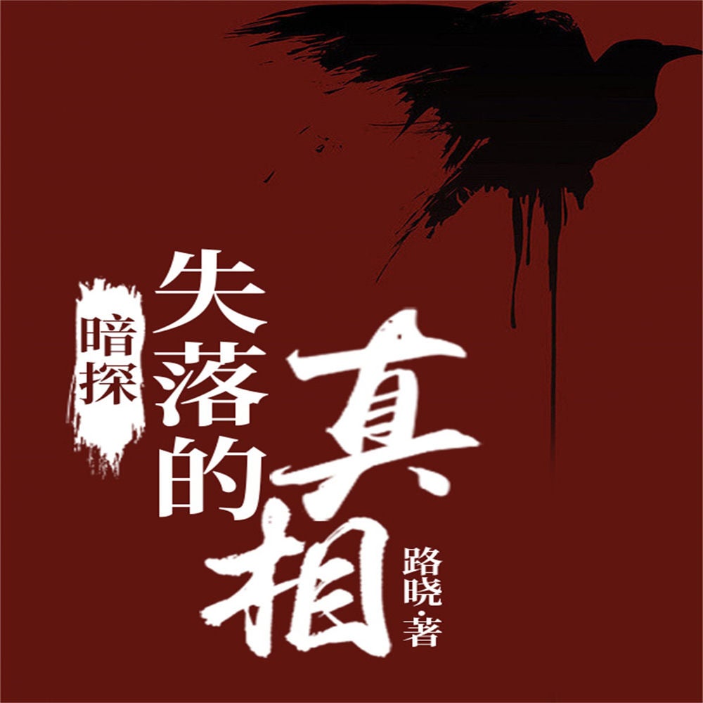 暗探：失落的真相
