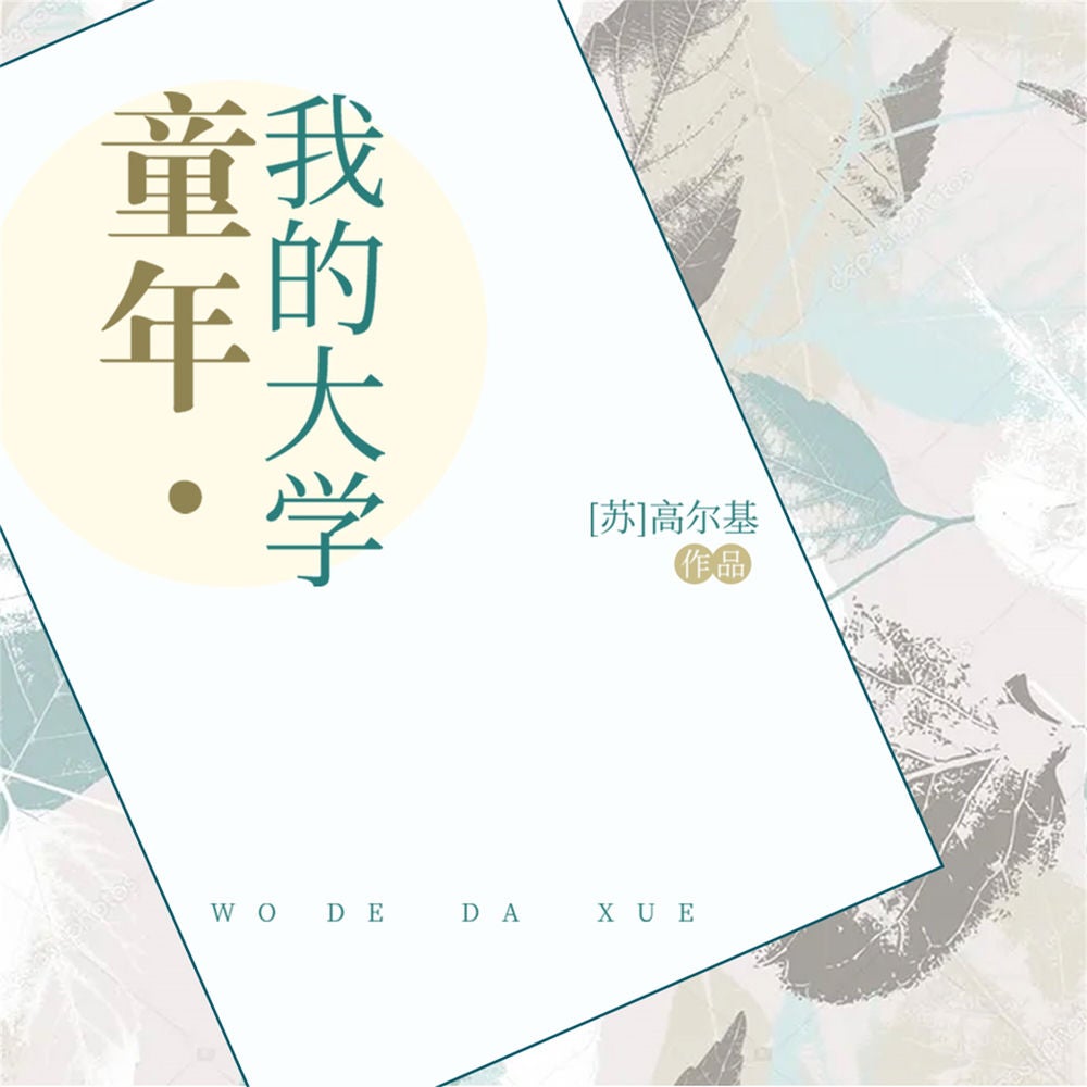 童年·我的大学