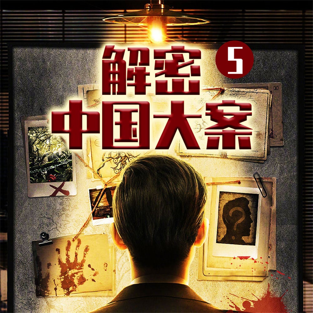 解密中国大案5