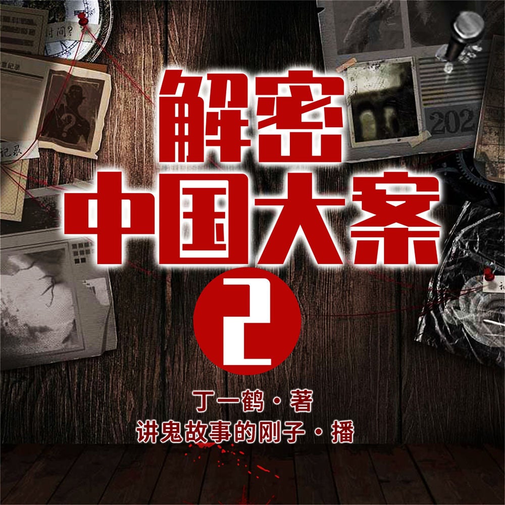 解密中国大案2